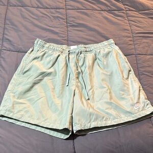 Nike Men's Mint Green Athletic Shorts